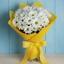 Букет цветов из:  Хризантемы в Андреаполе