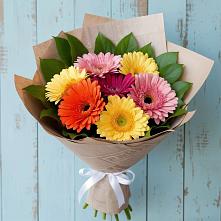 Букет цветов из:  Герберы в Андреаполе