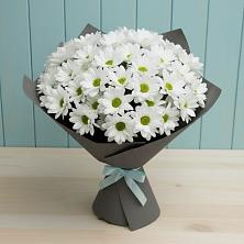 Букет цветов из:  Хризантемы в Андреаполе